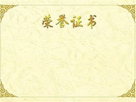 荣誉证书 (5)