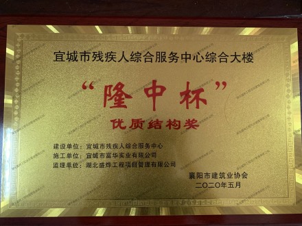 宜城市残疾人综合服务中心综合楼优质结构奖