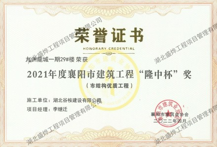 九州龍城29#楼“隆中杯”奖（市结构优质工程）