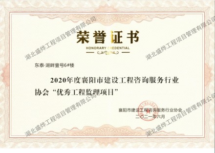 湖畔壹号6#楼优秀工程监理项目
