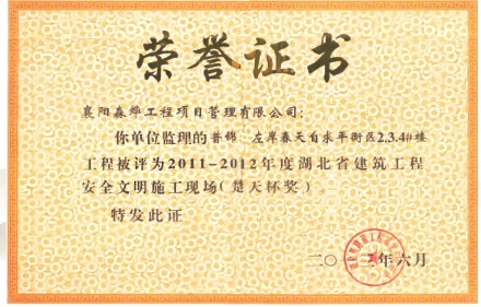 左岸春天自求潘平衡区2.3.4#楼工程 楚天杯奖 安全文明施工现场