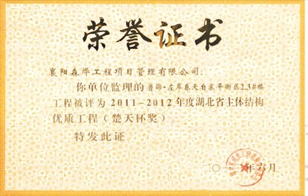 左岸春天自求平衡区2.3#楼 楚天杯奖 主体结构优质工程