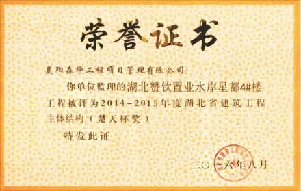 水岸星都4#楼 楚天杯奖