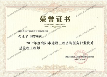 武建宇--2017年度襄阳市建设工程咨询服务行业优秀监理工程师