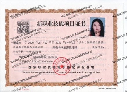 高级BIM项目管理师