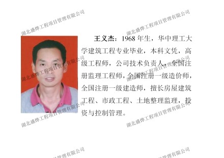 领军人物：王义杰