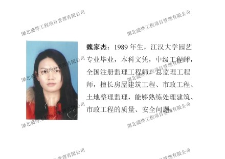 领军人物：魏家杰