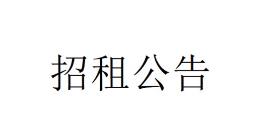 宜城市产业园区发展投资有限公司资产招租公告