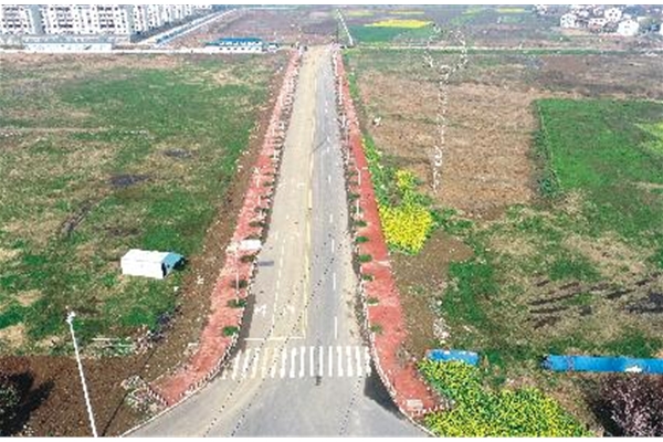 花庙路