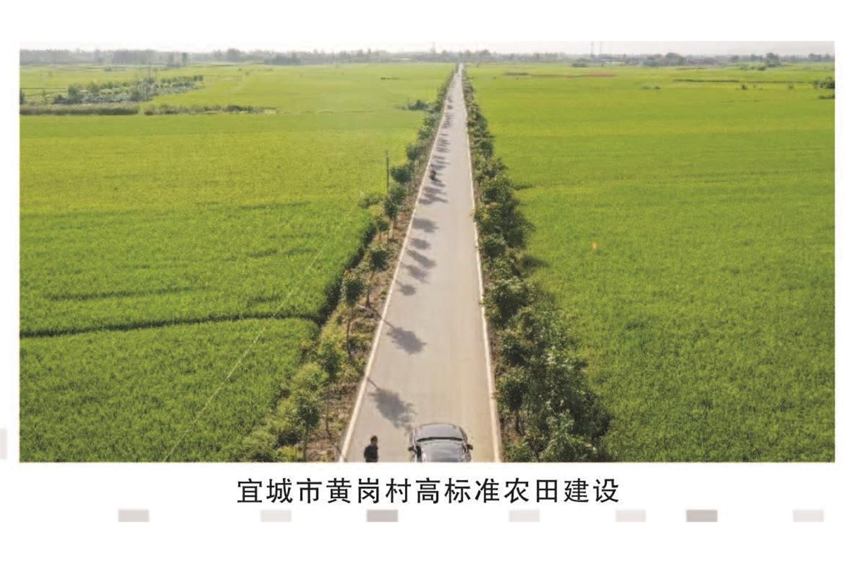 宜城市黄岗村高标准农田建设
