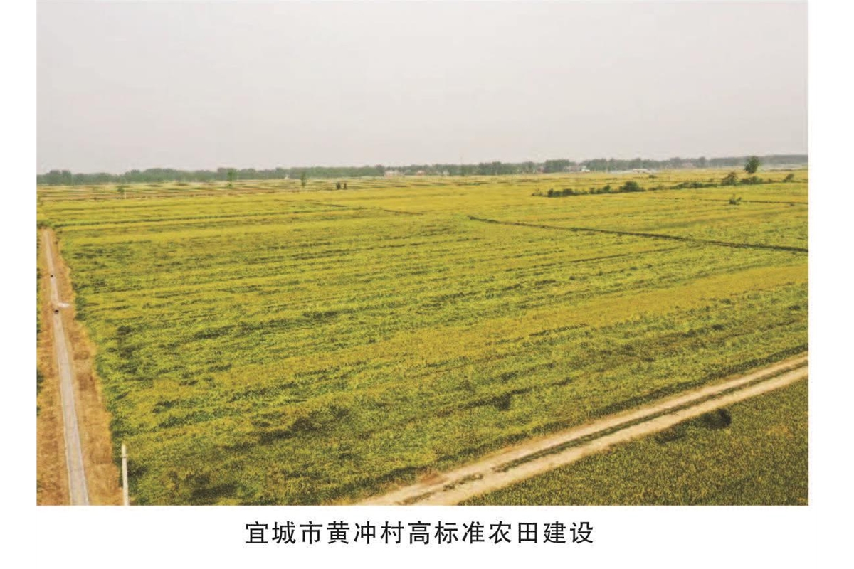 宜城市黄冲村高标准农田
